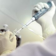 Eutanasia, guerre, cultura di morte: qui: servono nuovi “profeti” della vita