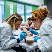 Ricetta Ocse per l'Italia: più donne al lavoro e più ricerca