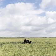 La pace è la sola arma del Vangelo