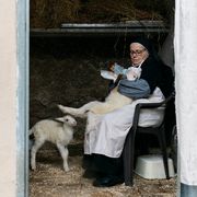 "Agnus Dei", arrivano in sala gli agnellini del Papa