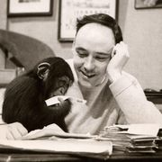 Addio a Desmond Morris. Con "La scimmia nuda" rimise l’uomo dentro lo zoo