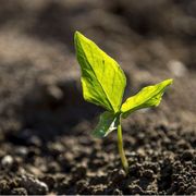 L'ora della sostenibilità: il Festival Asvis accende il dibattito