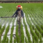 Su fertilizzanti ed emissioni di CO2 abbiamo un pasticcio chiamato Cbam