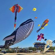 Arte in volo, da Cervia a Fano il cielo si colora di aquiloni
