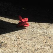 Il dramma di Catanzaro e quel male che nessuno ha saputo vedere