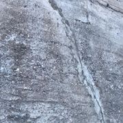 Il canto della primavera mi avvolge