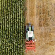 L’IA al lavoro anche nei campi: aiuta in chat gli agricoltori