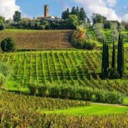 Il panorama del Chianti, in Toscana, sempre ricercato dai turisti