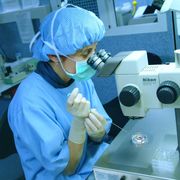 “In Utero”, in tv il desiderio del figlio trasformato in diritto