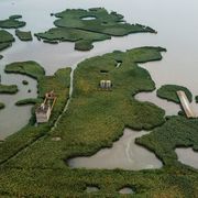 Il Delta del Po affoga: ecco le voci di chi prova a resistere