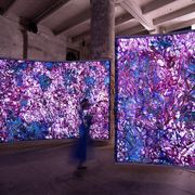 Impeccabile, ma... Ecco la nuova Biennale di Venezia