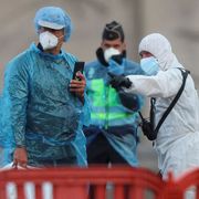 Sorveglianza e controlli: sull'hantavirus l'Italia alza la guardia
