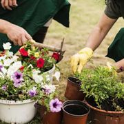 La biodiversità del cuore: sguardi e germogli in un orto che accoglie