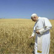 Leone XIV accelera sulla svolta verde del Vaticano: nasce la Fondazione “Fratello Sole”