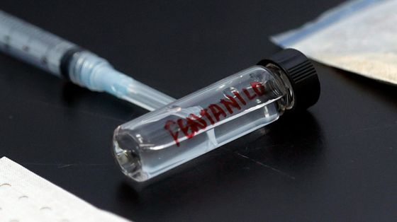 «Dal Fentanyl danni gravissimi». La prevenzione passa da scuola