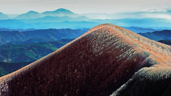 La visione dell'Alpe della Luna coni monti colorati del rosso degli alberi autunnali e sullo sfondo della catena degli Appennini