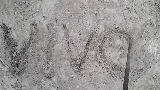 Arte, critica e intelligenza artificiale.
Tradurre
l’intraducibile