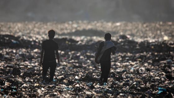 Putin sfida Trump all'Onu con una contro-risoluzione su Gaza