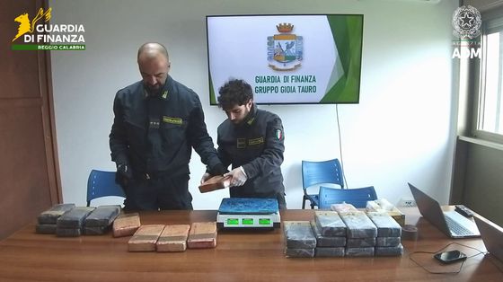 Sequestrati 248 chili di cocaina nel porto di Gioia Tauro