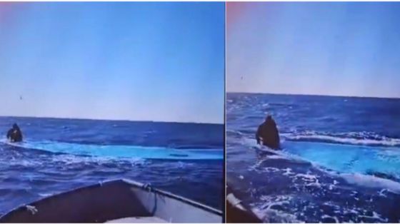 Lo screenshot del video che Alarm Phone ha ricevuto dal pescatore che ha recuperato l'unico superstite del naufragio / ALARMA PHONE