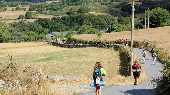 Cammino di Santiago, nuovo record di partecipazione nel 2025. Centrale resta la motivazione religiosa