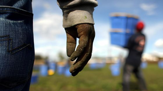 I ghetti dei braccianti? Spariti dall'agenda. Solo briciole dal Pnrr, Comuni lasciati soli