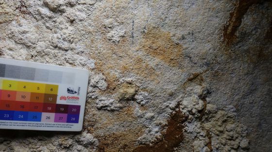 L'arte non è nata in Europa: il dipinto più antico scoperto in Indonesia