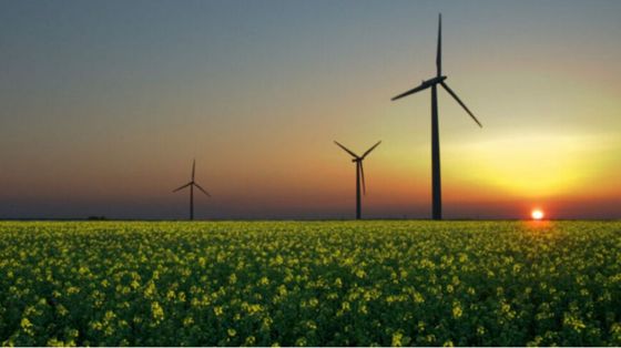 Dieci anni di ASvis: "Insieme per lo sviluppo sostenibile"