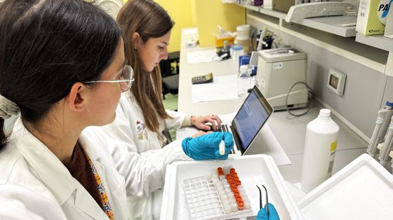 «I nuovi farmaci anticancro nasceranno dalle nostre cellule»