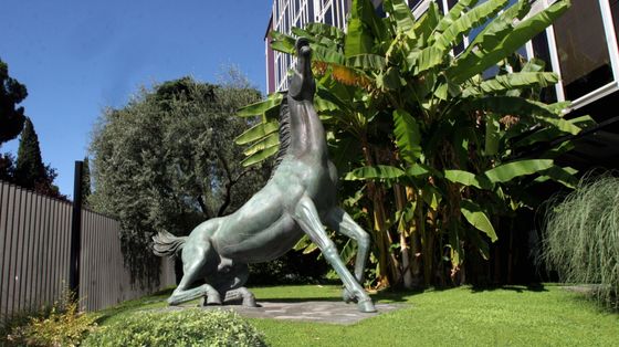 La Rai è come un cavallo scosso: ecco perché adesso scoppia un caso dopo l'altro