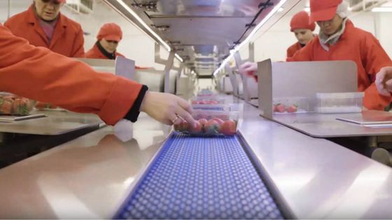 I patti per non "rubarsi" i dipendenti finiscono nel mirino dell'Antitrust