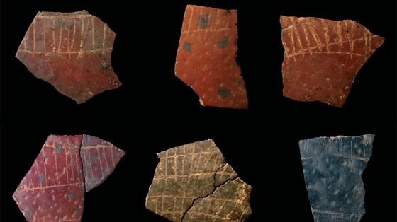Geometria di 60 mila anni fa: le uova di struzzo che raccontano la mente dei primi sapiens