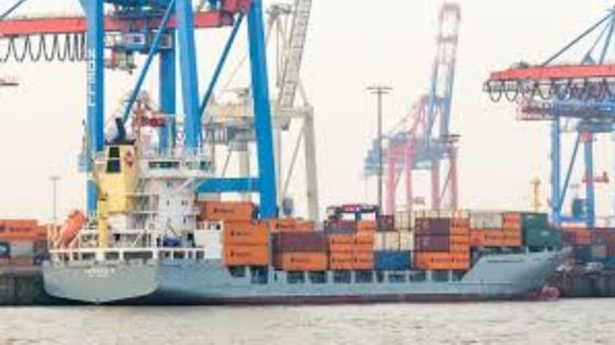 Dal riso italiano al vino argentino: chi vince con i dazi Usa