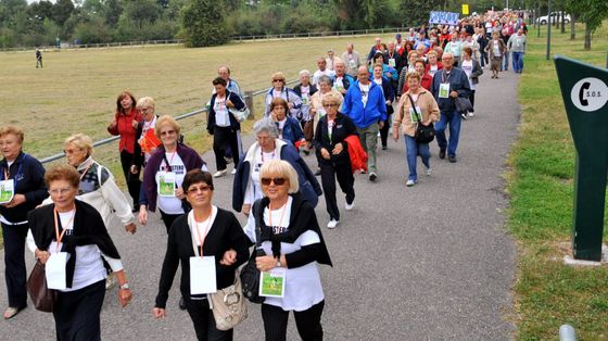Un gruppo di anziani al Parco delle Cave
