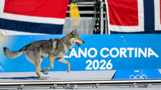 Strani Giochi: Cortina scopre i vigili romani e l'America l'acqua calda