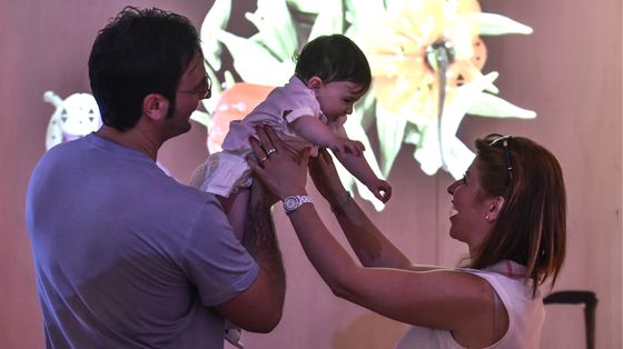 "Amoris Laetitia" compie 10 anni. La famiglia alla "scuola" del Vangelo dell'amore