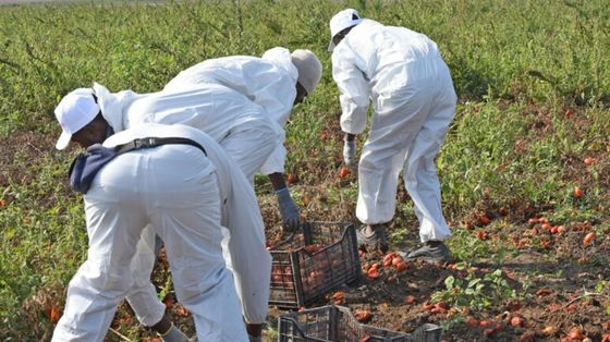 La rete napoletana dell'accoglienza scrive a Poste: aprite i "conti base" ai richiedenti asilo