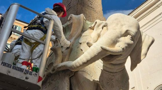 Elefante di Bernini restaurato dopo il distacco della zanna