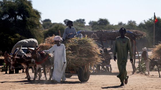 Una donna africana vestita di bianco guida a piedi un carretto trainato da un asino con a bordo il figlio e i pochi averi: fugge dalla guerra in Sudan