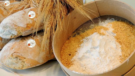 Dal carrello della spesa ai voli aerei, ecco l'onda lunga dei rincari "bellici"