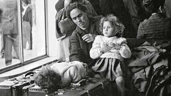 Cittadinanza, la Consulta conferma: non basta un antenato per essere italiani