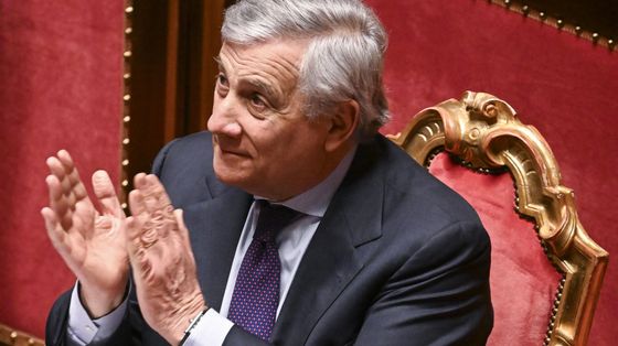 Cittadinanza, la Consulta conferma: non basta un antenato per essere italiani