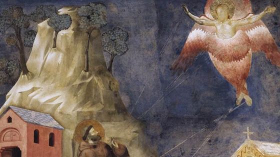 San Francesco, un corpo fatto racconto