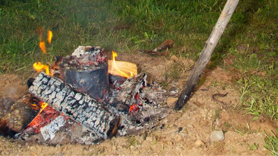 I Neanderthal si curavano con il catrame di betulla