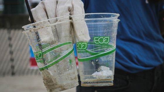 Il paradosso del greenwashing nei mercati dell'ecologismo