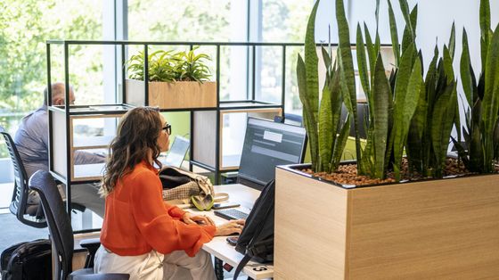 Rapporto Cisl sul lavoro: l'occupazione rallenta tra inverno demografico e problemi strutturali