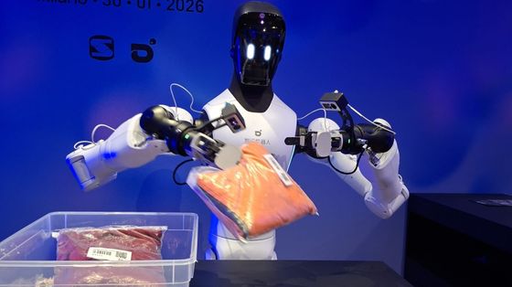 Lavorano, ci fanno compagnia, giocano: i robot umanoidi sono già in mezzo a noi