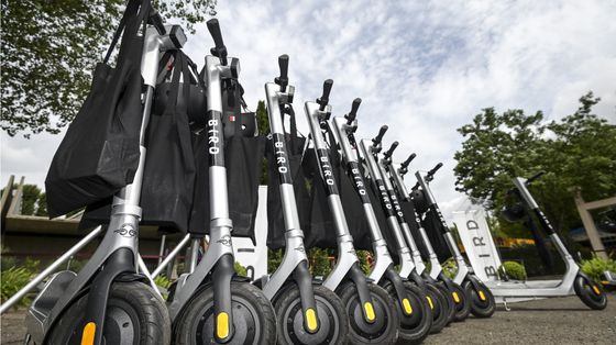 Firenze sta avendo più problemi del previsto a vietare i monopattini elettrici