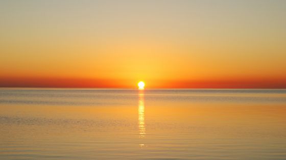 «Ciascuno di noi sia segno della presenza di Cristo risorto»