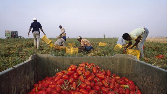 Il dramma del bracciante Alagie, 29 anni, che si è impiccato nella baraccopoli